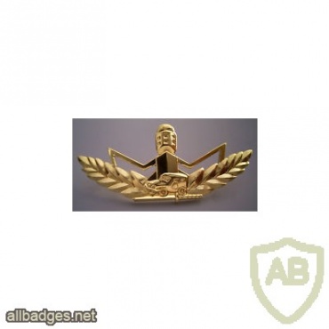 Border guard fighter - Golden ( Outstanding ) img17502