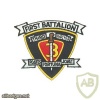 3rd Marine Division, 1st Battalion