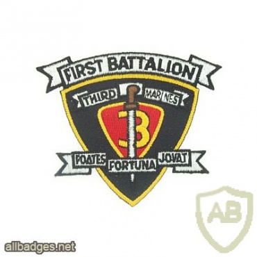 3rd Marine Division, 1st Battalion img17423