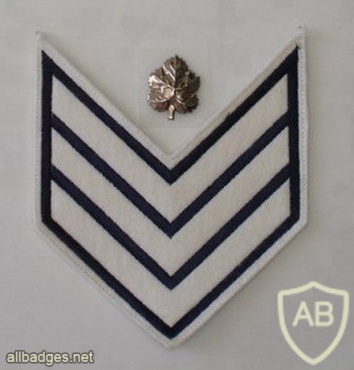 דרגת רס"ל (רב סמל) ישנה של משטרת ישראל img17746
