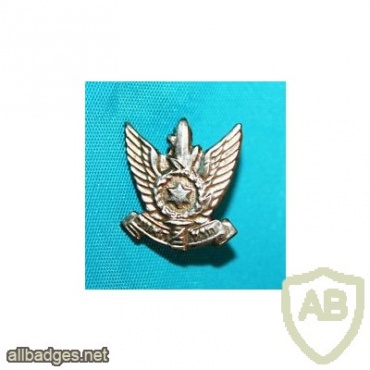 חיל האוויר- מוזהב img17719