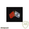 דגל ישראל ודגל כבאות והצלה img18042