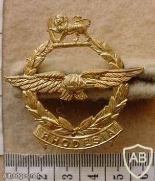 Southern Rhodesian Air Force cap badge, worn by all ranks img18122