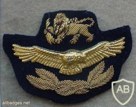 Rhodesian Air Force cap badge, Officer img18116