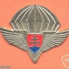 SLOVAK REPUBLIC Paratroopers Association beret badge