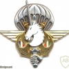 FRANCE Operation Unicorn in Côte d'Ivoire parachute pocket badge, 2002 img18111