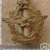 Southern Rhodesian Air Force cap badge, worn by all ranks img18123