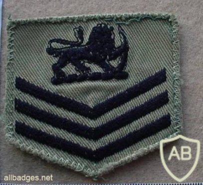 Rhodesian Air Force Regiment shoulder title, Combat Dress img18372