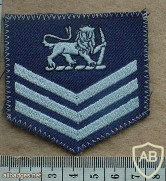 Rhodesian Air Force Flight Sergeant rank 2 img18371