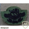 Rhodesian Air Force Master Technician rank, Combat dress
