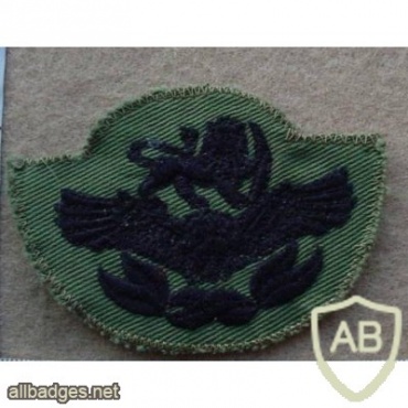 Rhodesian Air Force Master Technician rank, Combat dress img18435