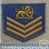 Rhodesian Air Force Flight Sergeant rank badge