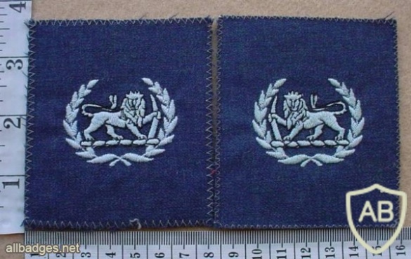 Rhodesian Air Force Warrant Officer Class 2 img18431
