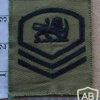 Rhodesian Air Force Master Sergeant rank, Combat dress