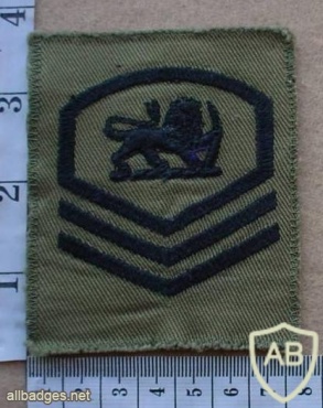 Rhodesian Air Force Master Sergeant rank, Combat dress img18384