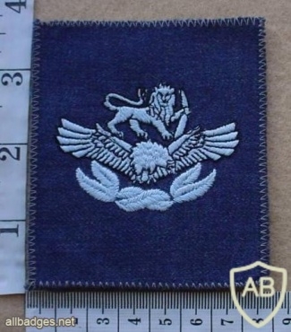 Rhodesian Air Force Master Technician rank badge img18432