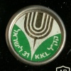 31 שנים למדינת ישראל img18353