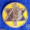 Medal of valor decoration img18508