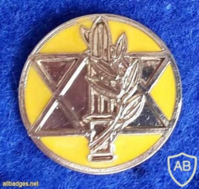 Medal of valor decoration img18508
