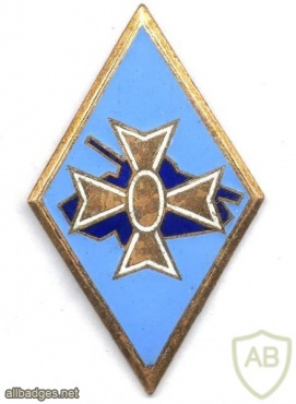 FRANCE 1st Armoured Division pocket badge img18505