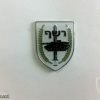 71st Reshef battalion