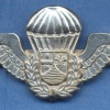 MOZAMBIQUE Paratrooper Special Group parachute wing, old