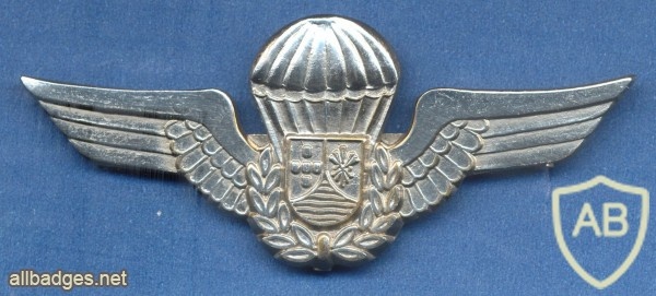 MOZAMBIQUE Paratrooper Special Group parachute wing, old img18653