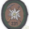 GERMANY Bundeswehr - 231st Mountain Infantry Battalion patch