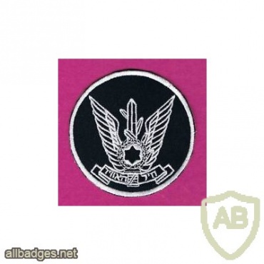 סמל חיל האוויר img19047