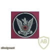 סמל חיל האוויר img19048