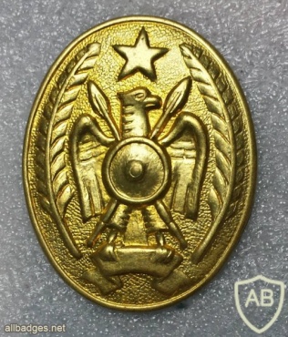 Somalia Army cap badge img19237