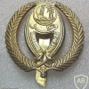 Qatar Army cap badge img19260