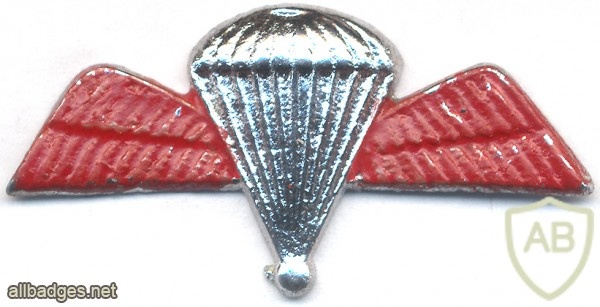 INDIA Army 100 Para Jumps Indicator Badge, obsolete img19432