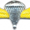 INDIA Army 50 Para Jumps Indicator Badge, obsolete img19431