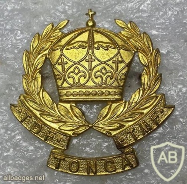 Tonga Defence Force cap badge img19421