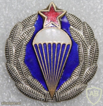 Yugoslavia para brigade img19424