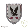 Air Operations Division DLO patch