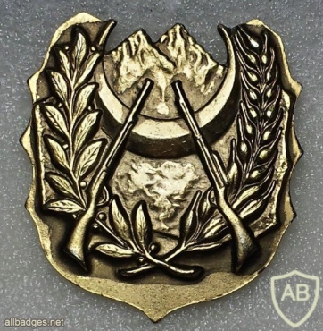 Algeria National Army cap badge img19747