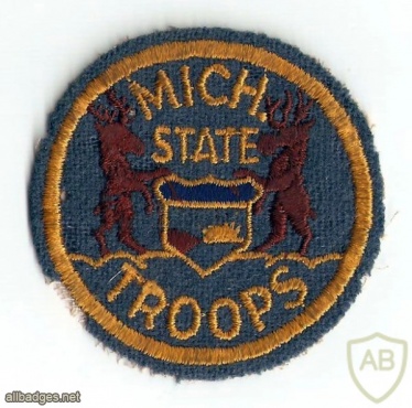 Michigan State Troops img19683