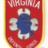 Virginia Defense Force
