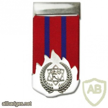 Medal of distinguished service img19810