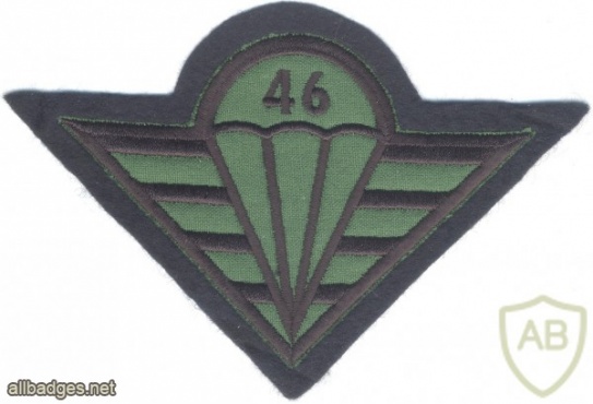 CZECH REPUBLIC 4th Rapid Deployment Brigade, 46th Artillery Battalion parachutist patch, field version img19840