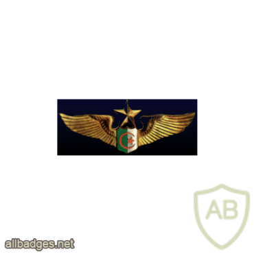 Algerian Air Force cap badge img19844