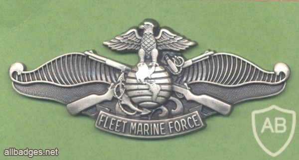 US Navy Fleet Marine Force Enlisted Warfare Specialist Insignia img19825