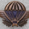 CONGO (Democratic Republic of) Parachutist wing, 3rd class