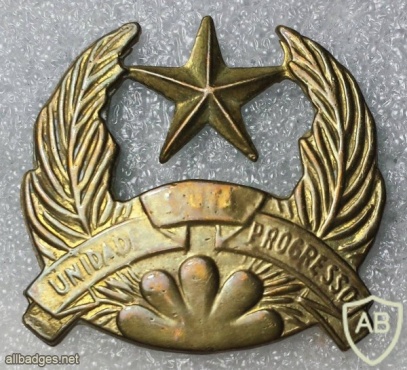 Guinea-Bissau Army cap badge img19990