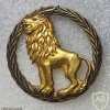 Republic of Congo Army cap badge img19987
