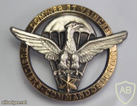 Gabon Air Force Commando cap badge img19988