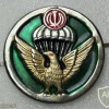 Iran paratroopers beret badge