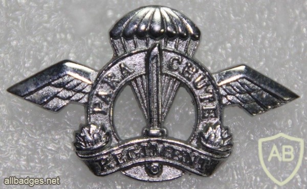 India paratroopers beret badge img20107